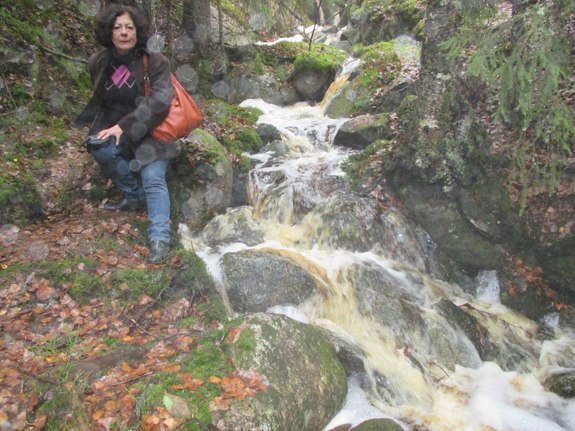 У водопада в национальном парке